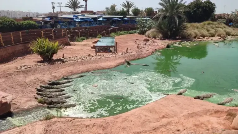 CrocoParc: One of the Best Attractions in Agadir.