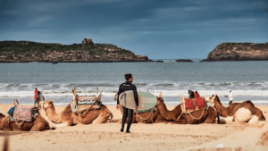 12 Best Beaches in Morocco You Must Visit. 10 Essaouira beach 1024x576 1