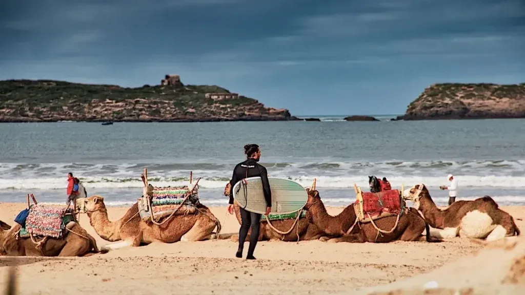 Essaouira beach 1024x576 1