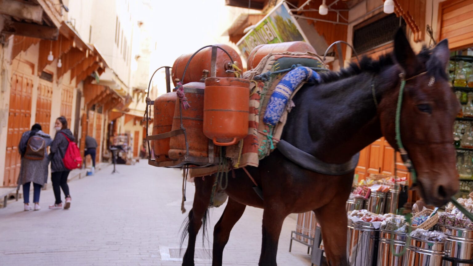 man-walking-with-donkey-through-the-narrow-streets-of-fes-in-morocco-SBI-350158422