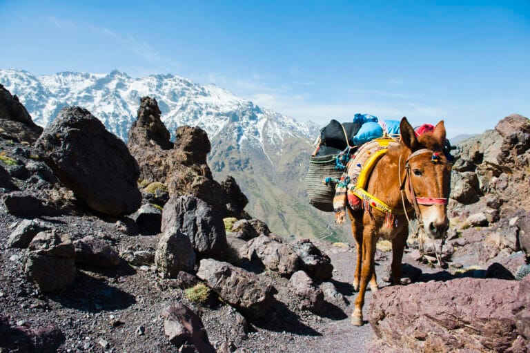 Mount Toubkal & Sahara Combined 5-Day Adventure Overview