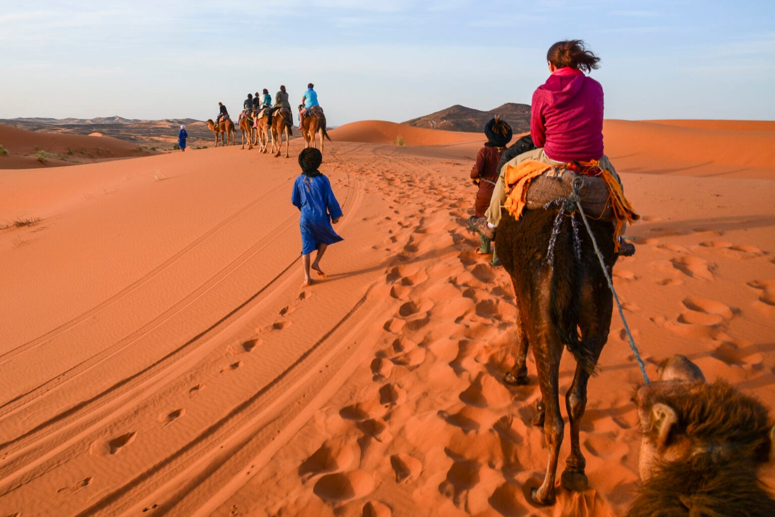 The tourists on camels with guides in Moroccan Sahara on a desert camel tour